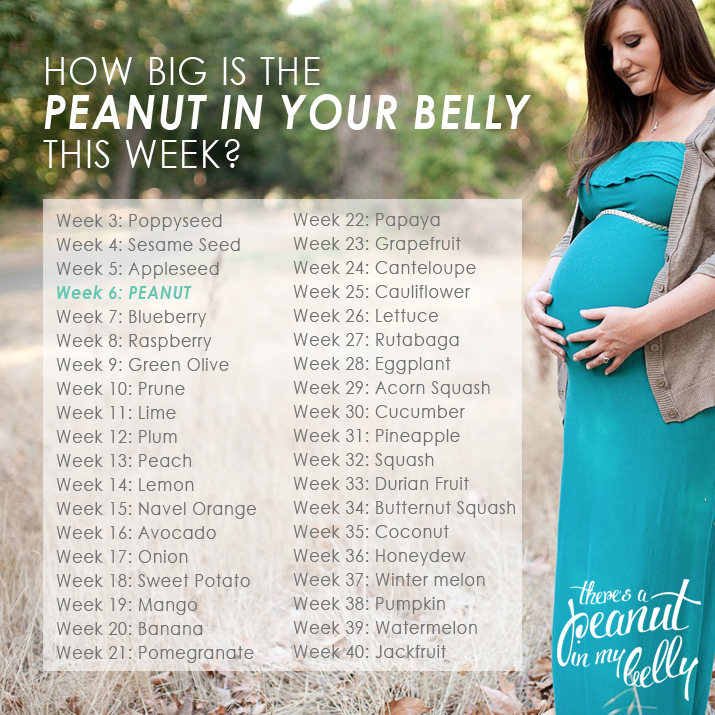 Theres a Peanut in my Belly Weekly Pregnancy Growth Chart